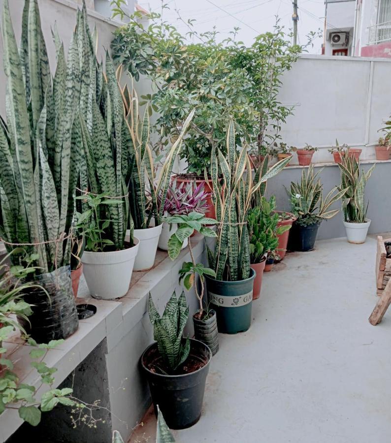 Negusta Arte E Atividades Hostel Praia Ngoại thất bức ảnh