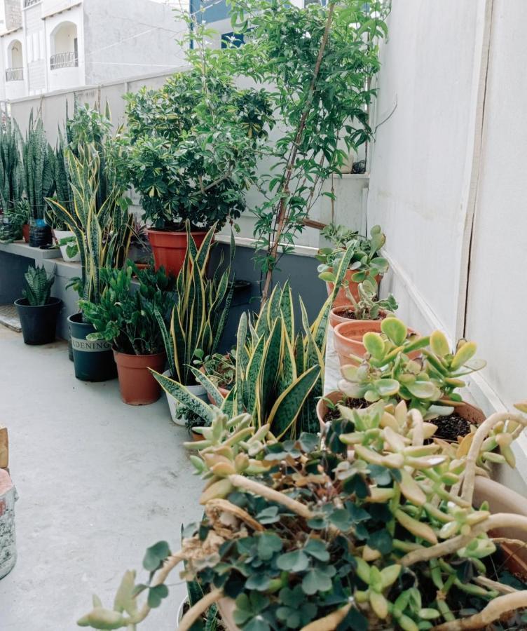 Negusta Arte E Atividades Hostel Praia Ngoại thất bức ảnh